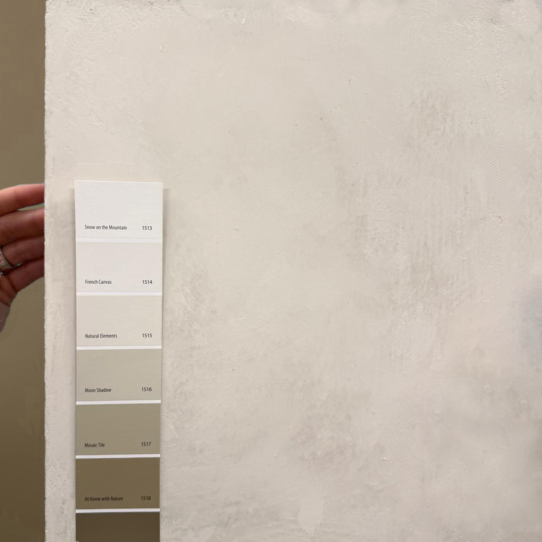 custom-lime-plaster-sample-tinted-to-benjamin-moore-natural-elements-paint-color